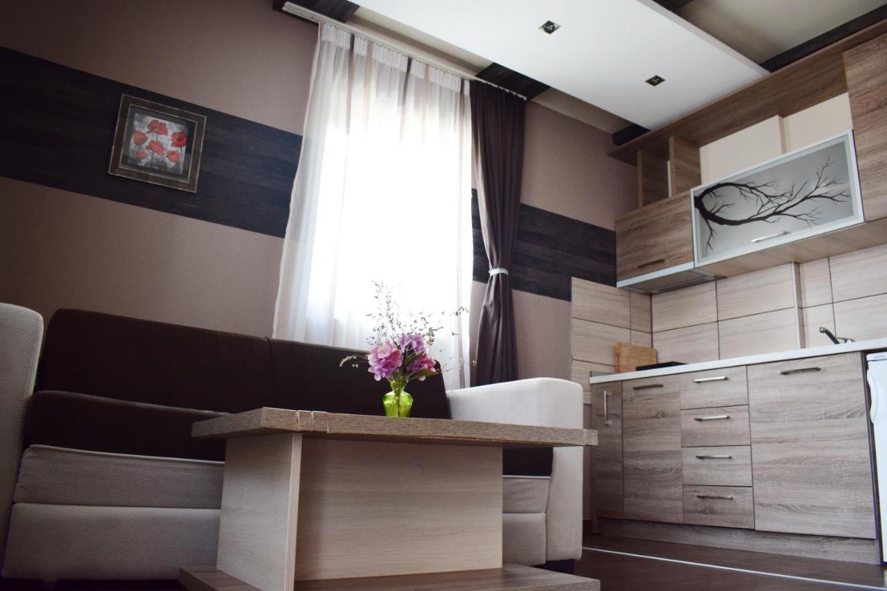 Milmari Friends And Family Apartment Kopaonik Bagian luar foto