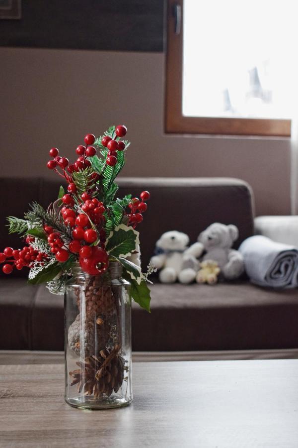 Milmari Friends And Family Apartment Kopaonik Bagian luar foto